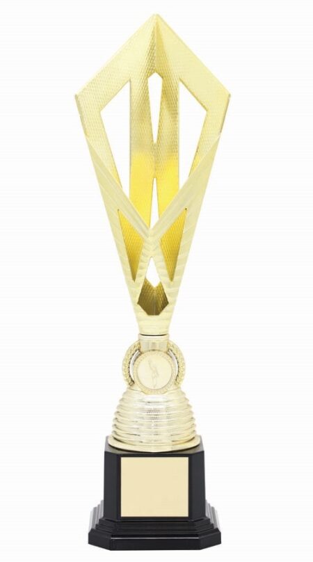 METAL BOWL TROPHY