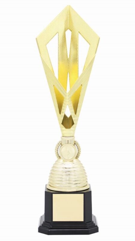 METAL BOWL TROPHY