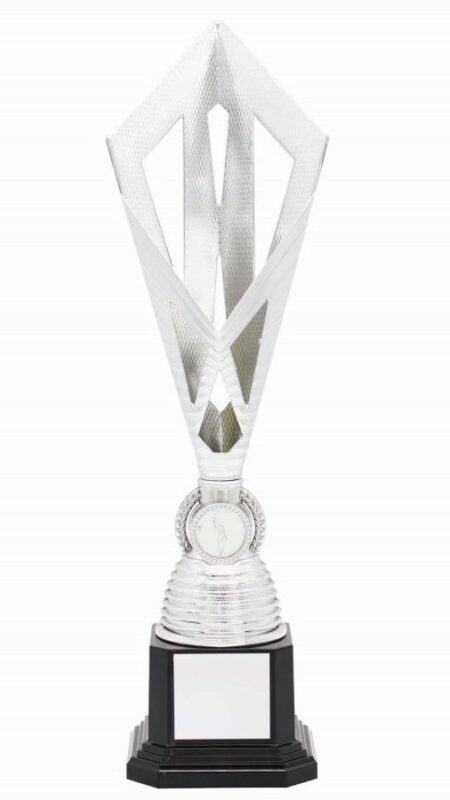 METAL BOWL TROPHY