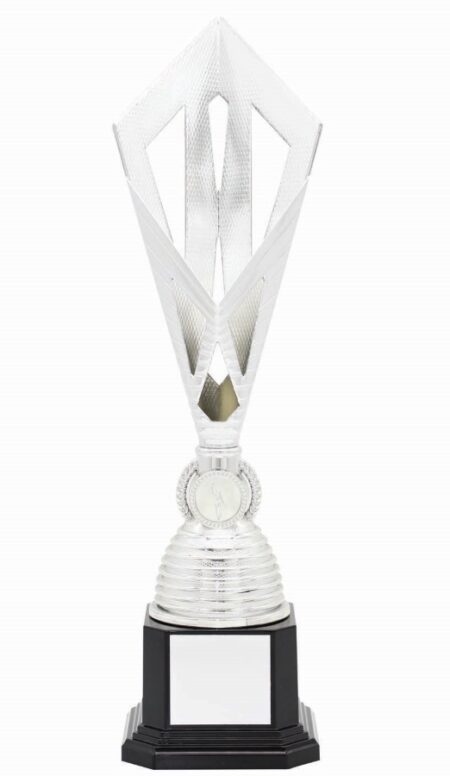 METAL BOWL TROPHY