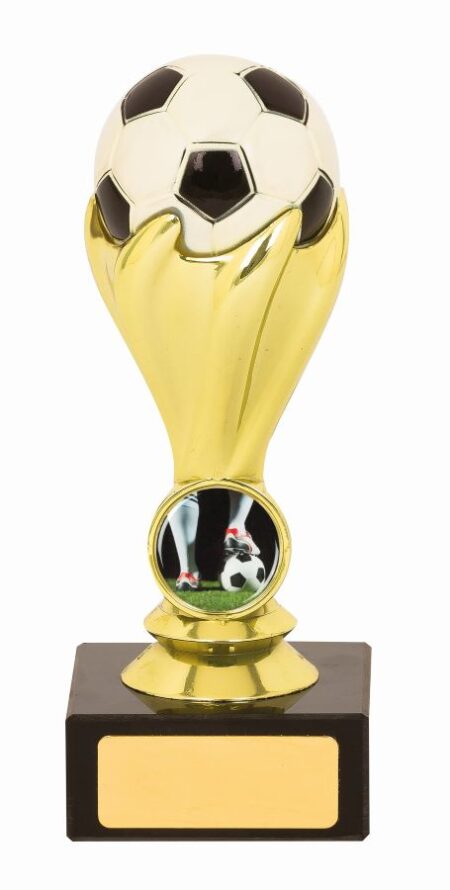 FOOTBALL SPORT TROPHY - 25mm Insert