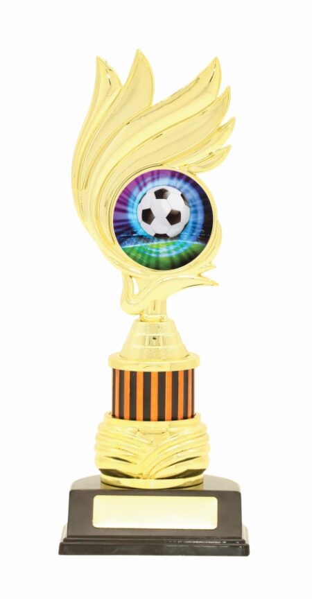 TROPHY - CENTRE HOLDER - 50mm Insert