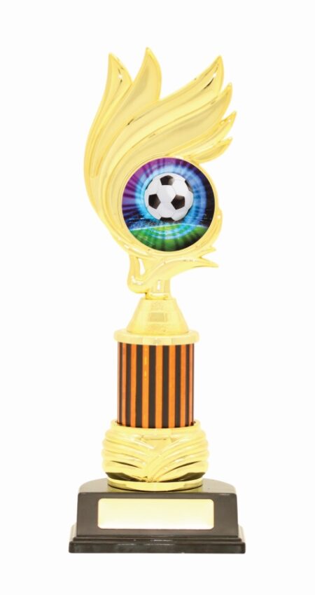 TROPHY - CENTRE HOLDER - 50mm Insert