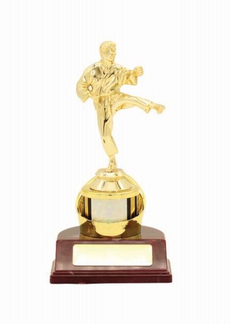 KARATE TROPHY