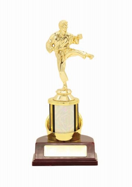 KARATE TROPHY