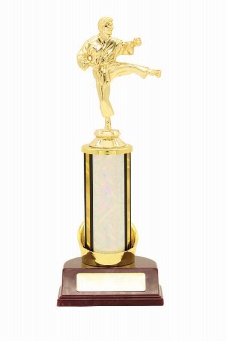 KARATE TROPHY