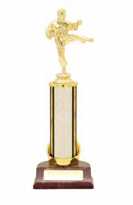 KARATE TROPHY