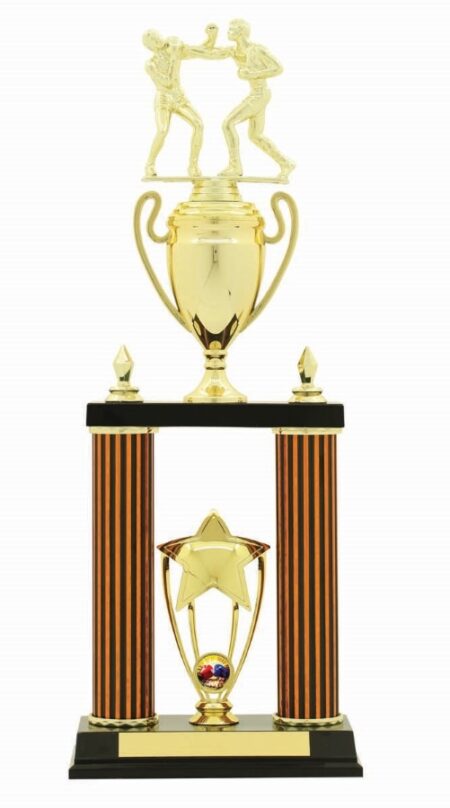 BOXING TROPHY