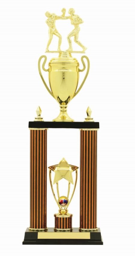 BOXING TROPHY