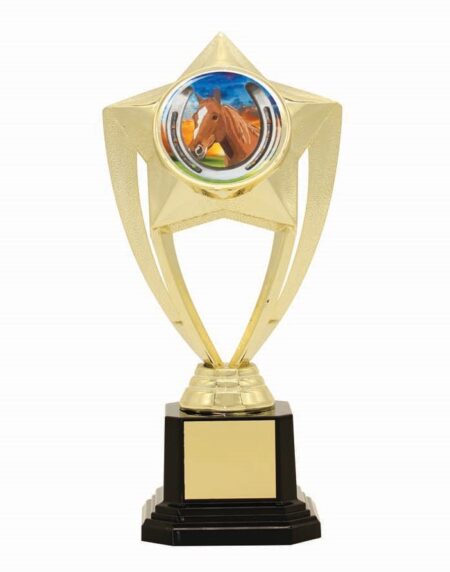 TROPHY - CENTRE HOLDER - 50mm Insert