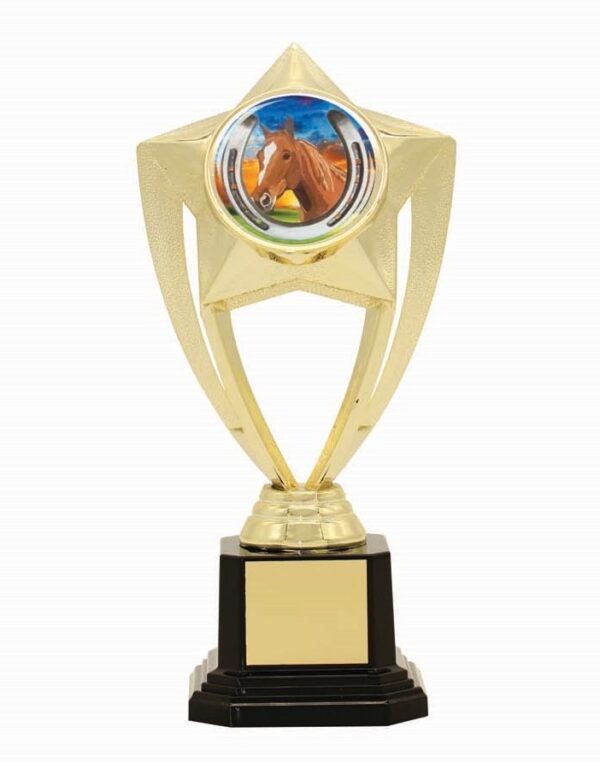 TROPHY - CENTRE HOLDER - 50mm Insert