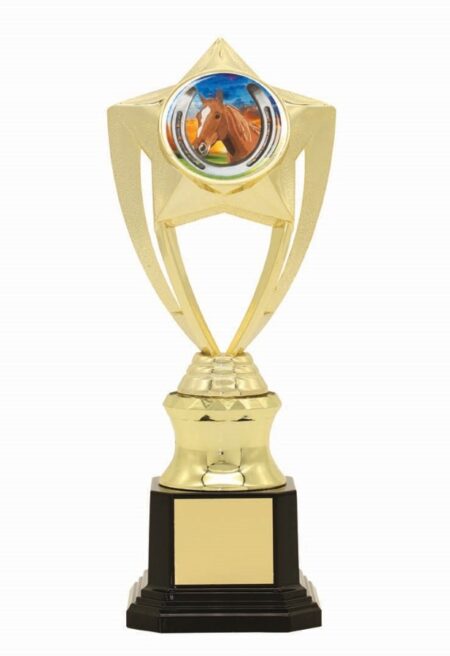 TROPHY - CENTRE HOLDER - 50mm Insert