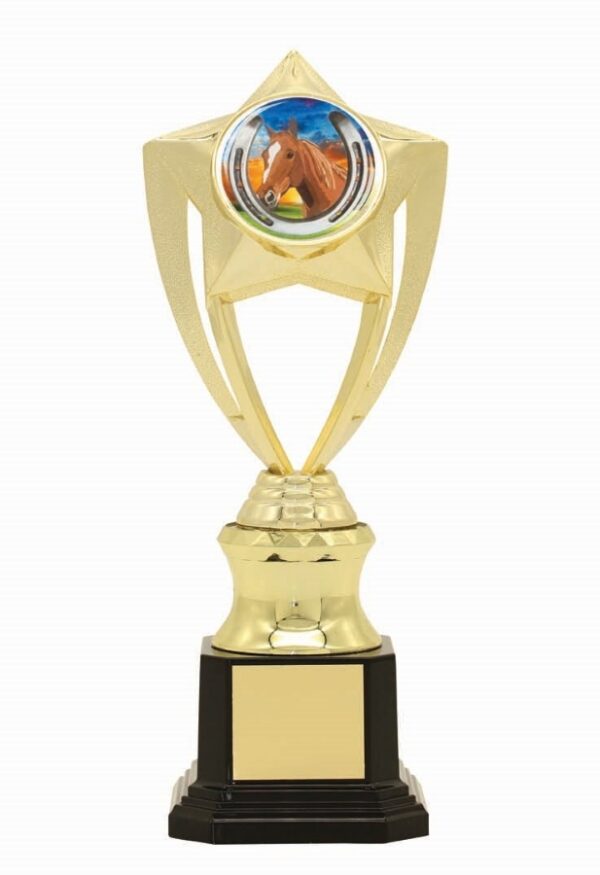 TROPHY - CENTRE HOLDER - 50mm Insert