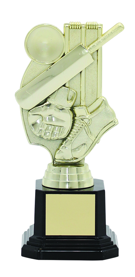 CRICKET TROPHY