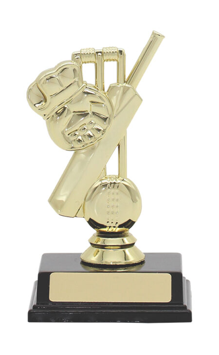 CRICKET TROPHY