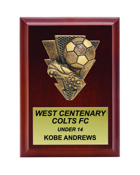 PLAQUE 110mm x 150mm
