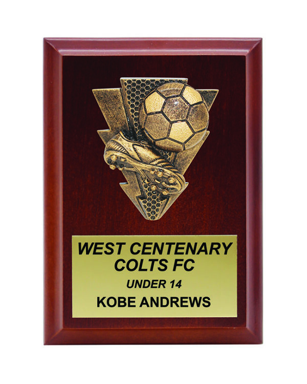 PLAQUE 110mm x 150mm