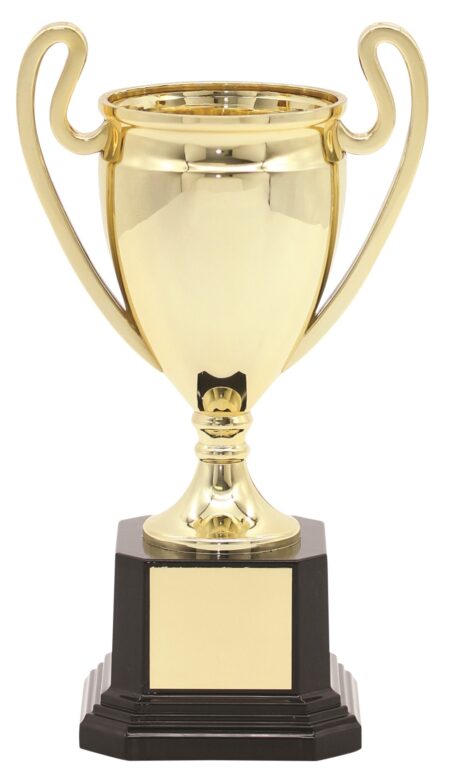 PLASTIC CUP TROPHY - 205mm
