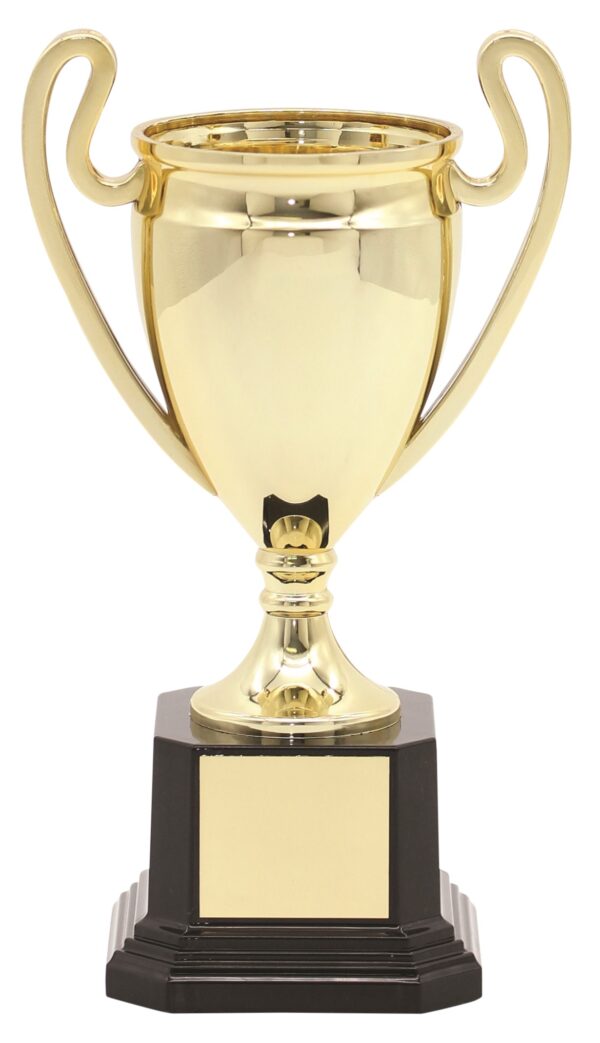 PLASTIC CUP TROPHY - 205mm