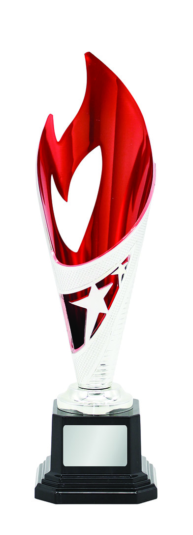 GENERAL AWARDS - 260mm SILVER/RED