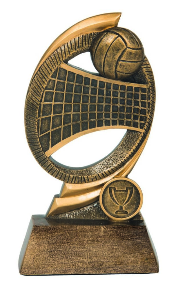 VOLLEYBALL – 25mm Insert