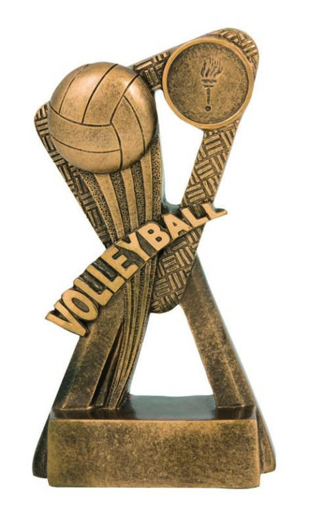 STINGER SERIES - VOLLEYBALL - 25mm Insert