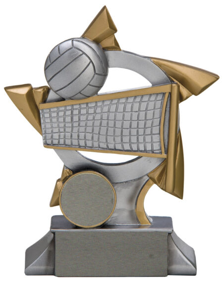 VOLLEYBALL - STAND - 25mm Insert