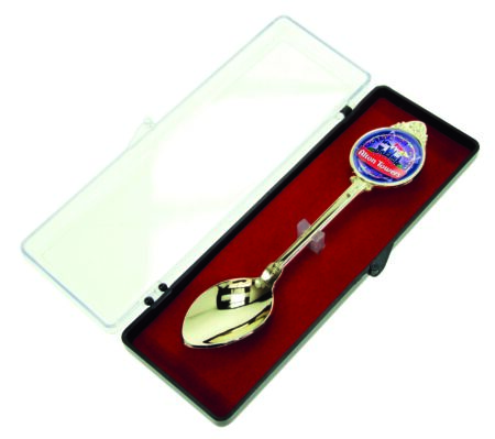 CASE TO SUIT SP1 SPOON